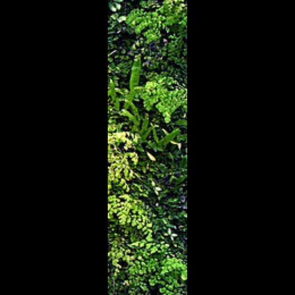 Meet your Posher, R - Picture 1 of 1